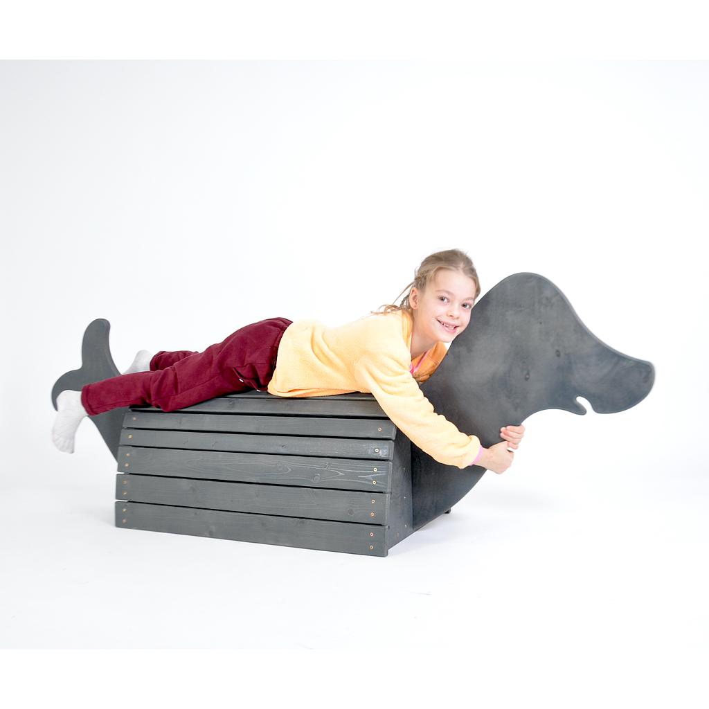 Siggi der Seehund°°**