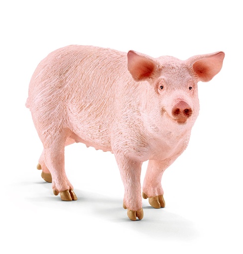 [BR13782] Schleich - Schwein