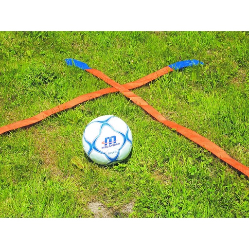 [108090] Linien - 4er Set je 10m mit Gewichten am Ende (mit Tragetasche)