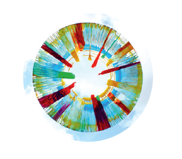 [113007] Creativ Folie for Flying Colors - 50er Set